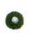 20" Northern Spruce Wreath with 200 Tips - Set of 2, Lush Holiday Decor, Ideal for Christmas Displays & Arrangements - Perfect for Home, Office - 2024 Christmas Collection, Floral Home by Artificial Flowers
